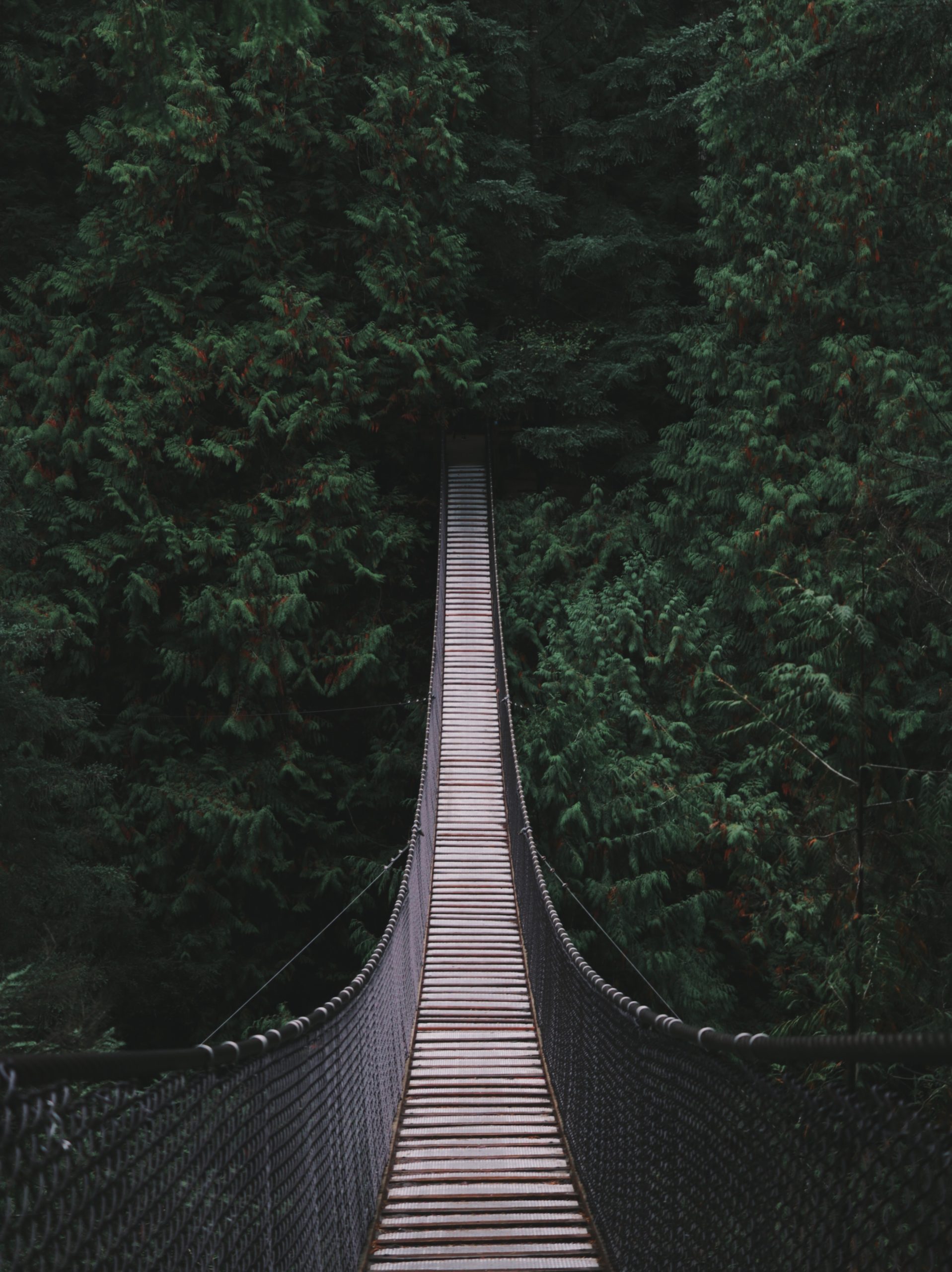 andre-amaral-tABAti6Qko4-unsplash andre-amaral-tABAti6Qko4-unsplash